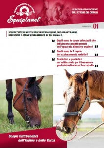 CONOSCI LE PRINCIPALI CAUSE CHE INFLUISCONO NEGATIVAMENTE SULL’APPARATO DIGESTIVO EQUINO?