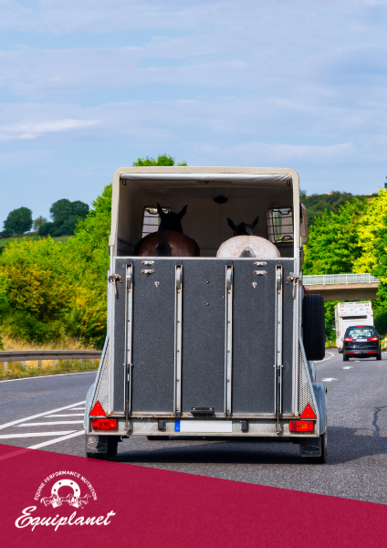 Stress da trasporto nel cavallo