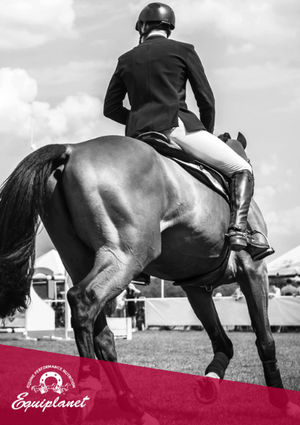 FIERACAVALLI 2025: Vieni a scoprire tutte le novità!