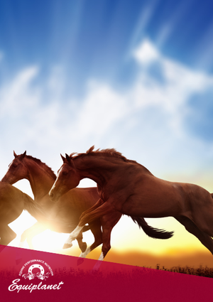 Come ottenere un mantello lucente per il tuo cavallo