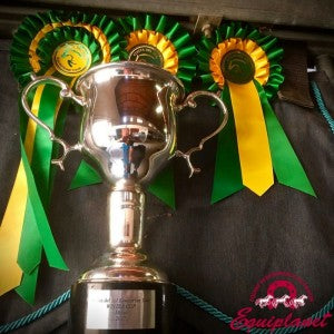 “EQUESTRIAN TOUR” COSTA DEL SOL