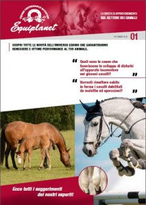 QUALI SONO LE PRINCIPALI PATOLOGIE DELL’APPARATO LOCOMOTORE DEL CAVALLO?