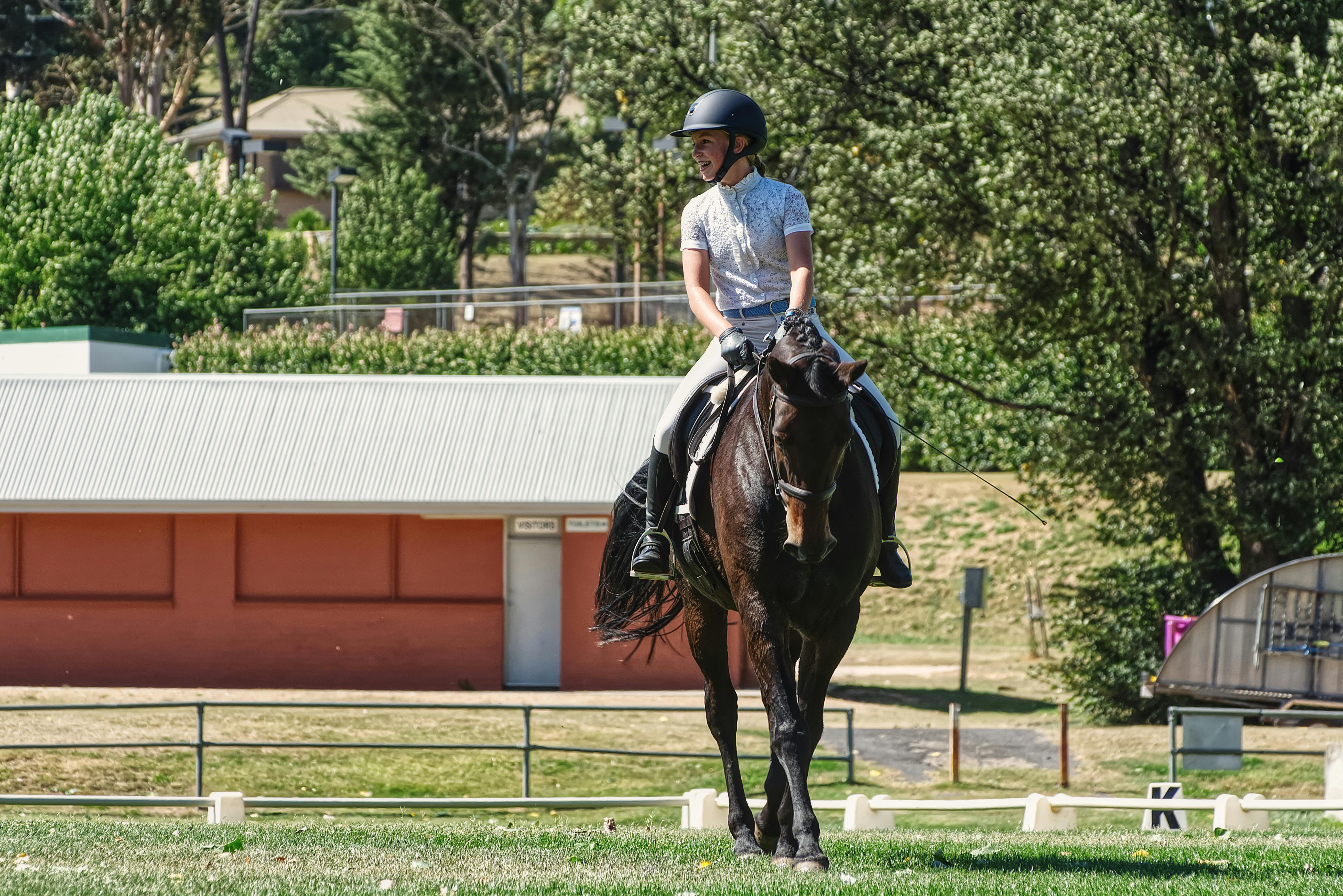 Energia nel cavallo in estate: come sostenere performance, resistenza e recupero