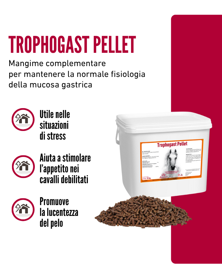 Trophogast Pellet