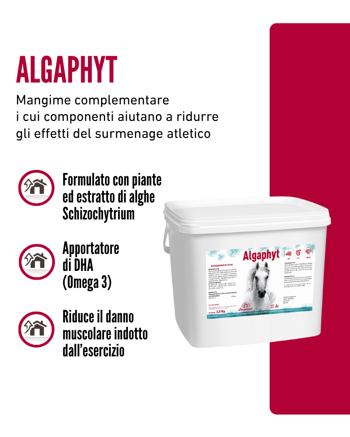 Algaphyt