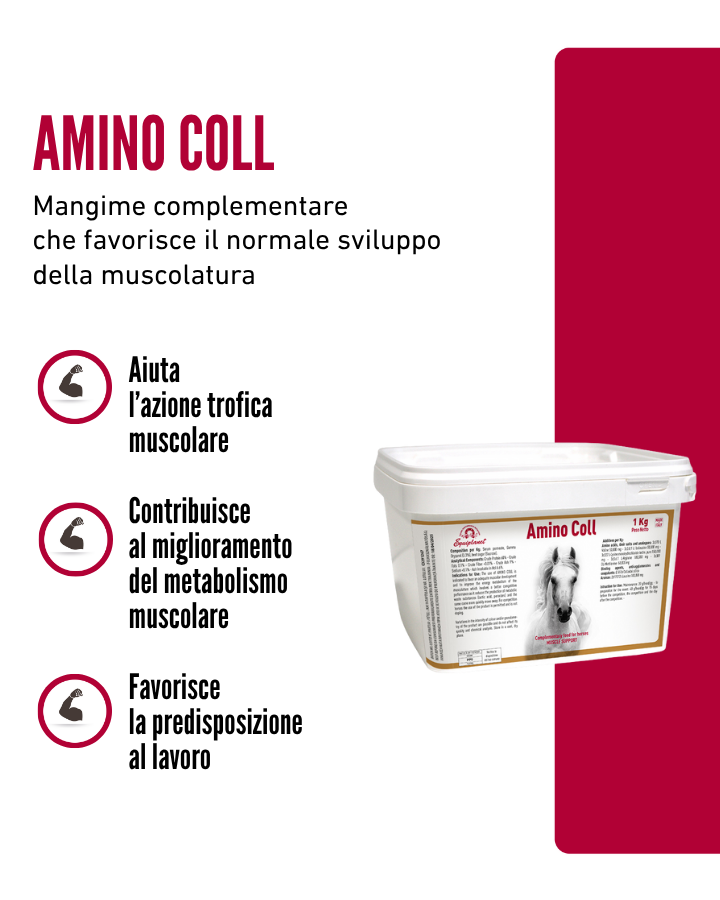 Aminocoll