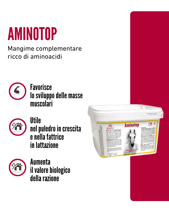 Aminotop