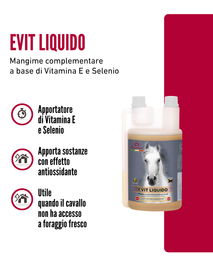 Evit Liquido