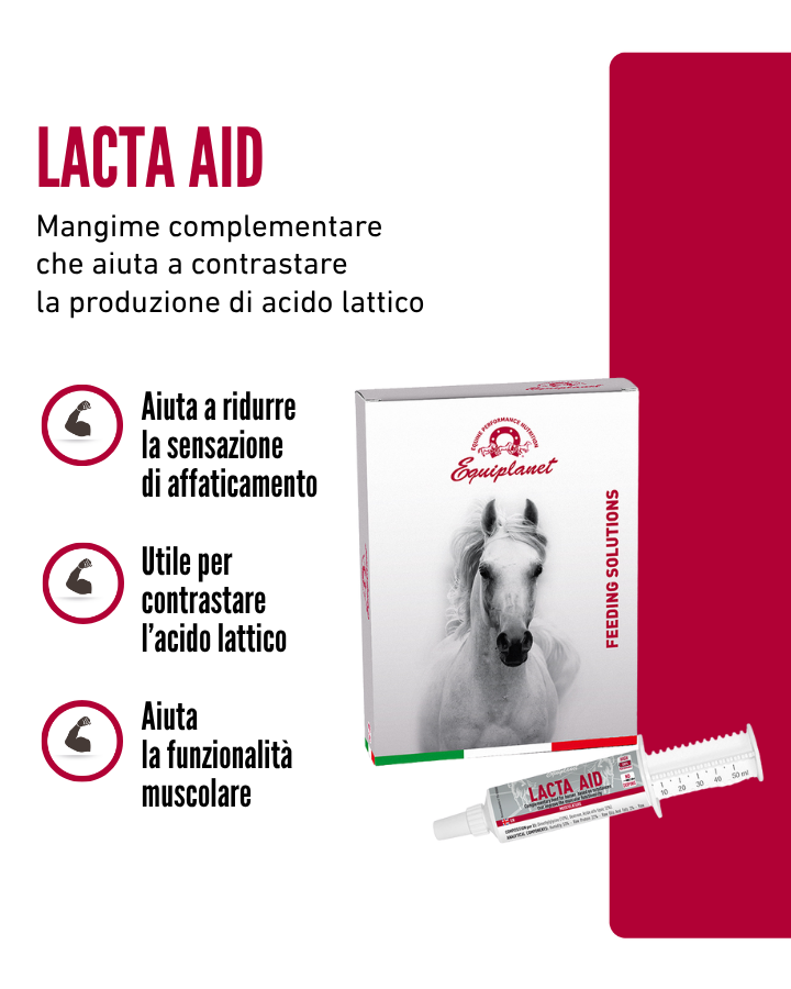 Lacta Aid