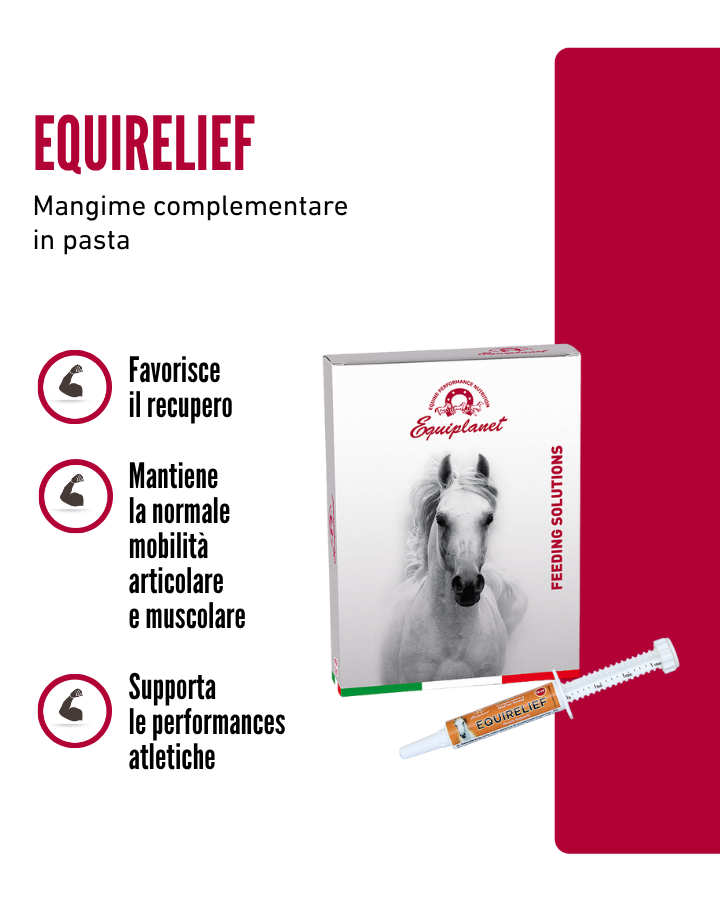 Equirelief
