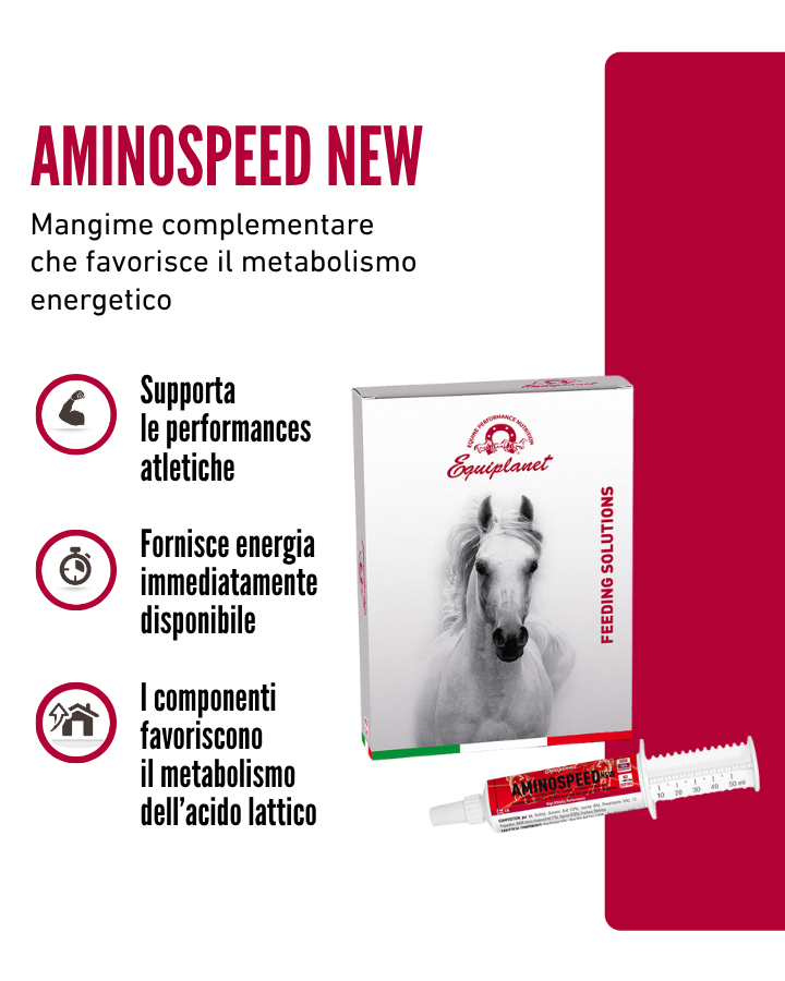 Aminospeed New