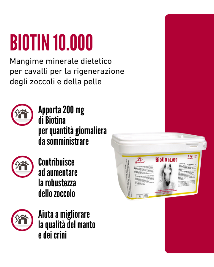 Biotin 10.000