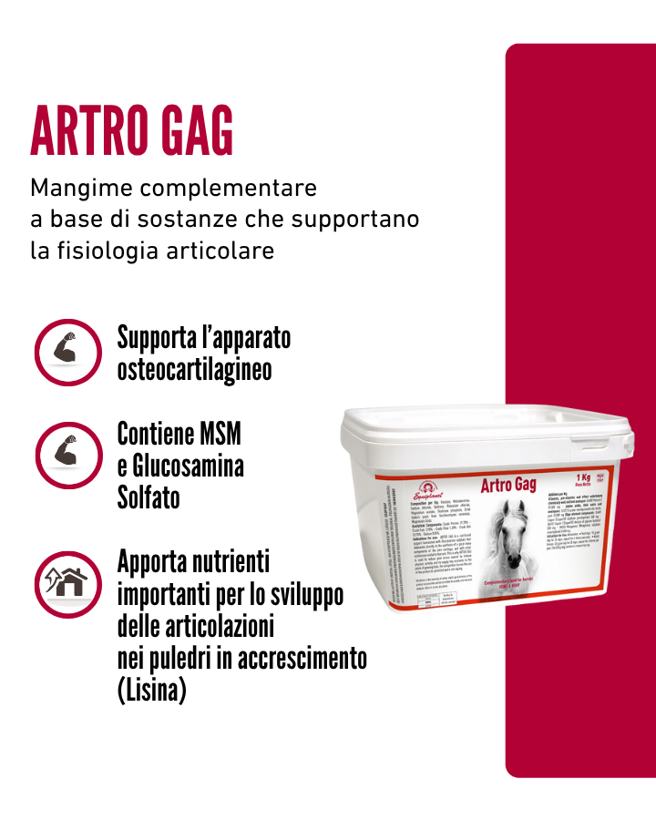 Artro Gag