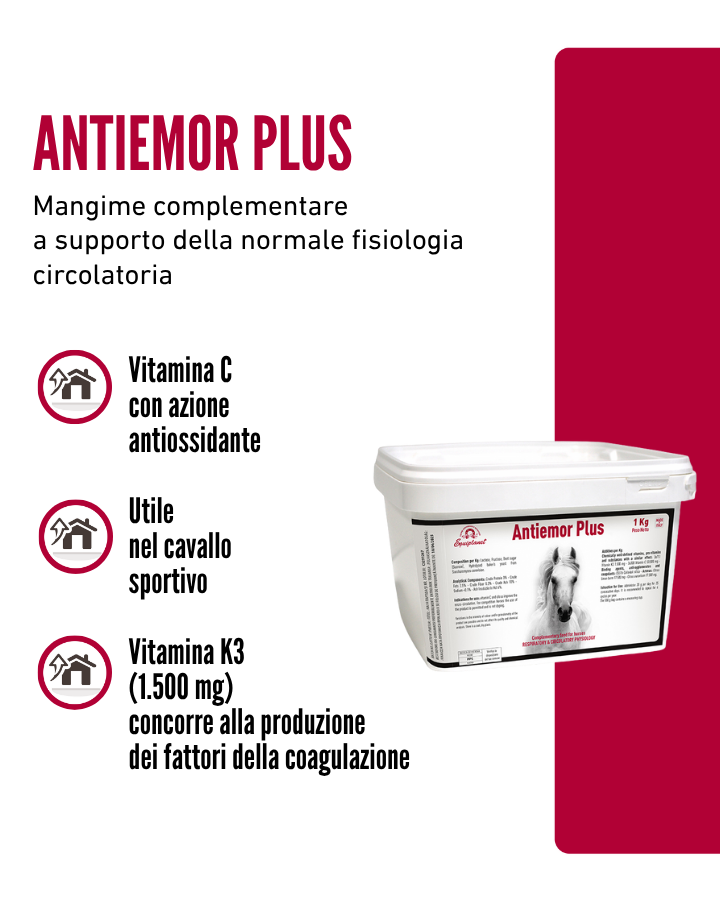 Antiemor Plus