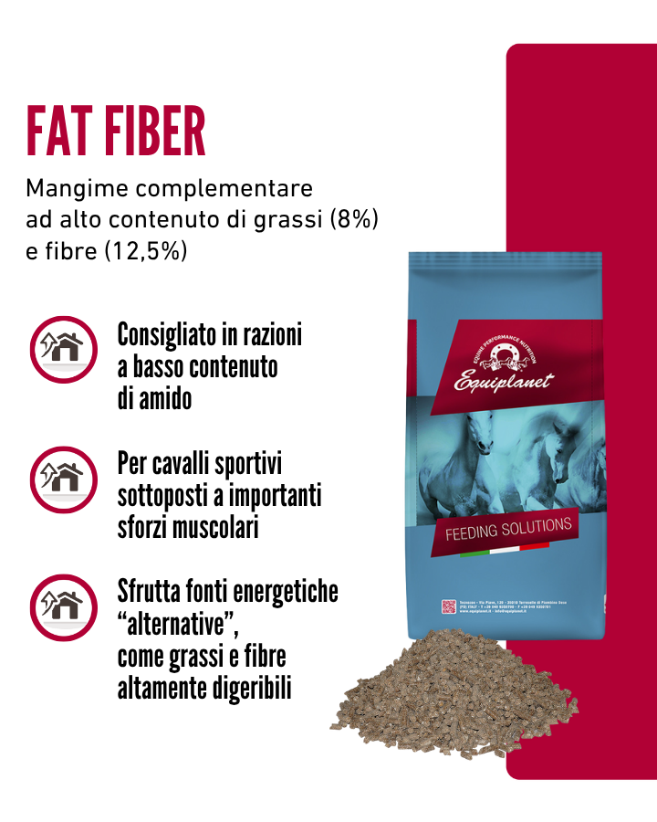 Fat Fiber
