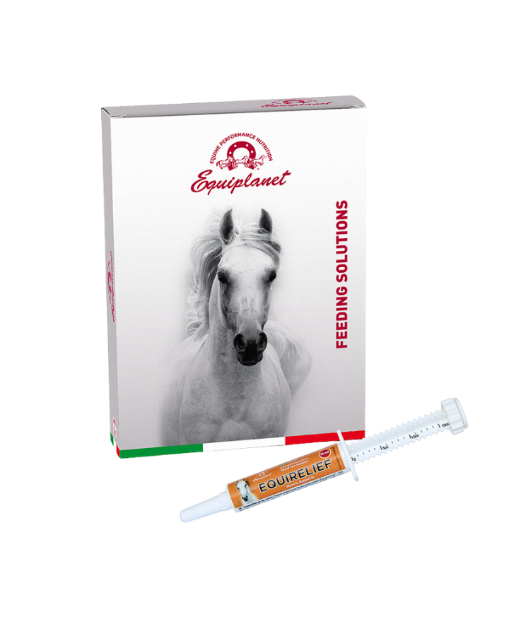 Equirelief