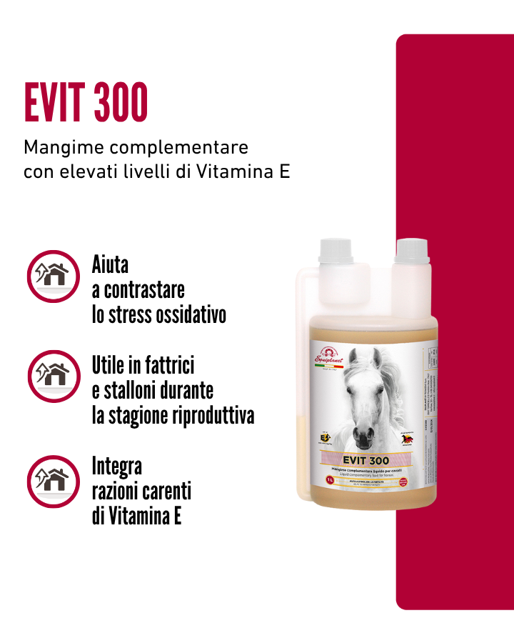 Evit 300