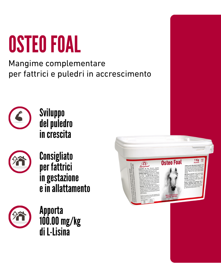 Osteo Foal