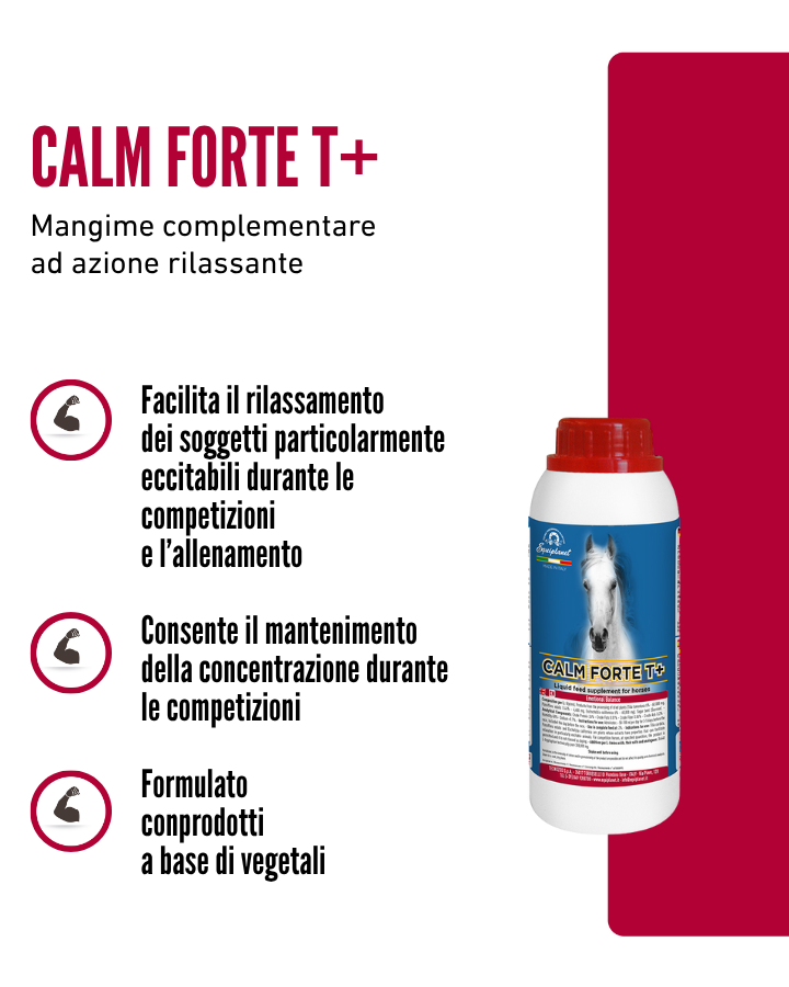 Calm Forte T +