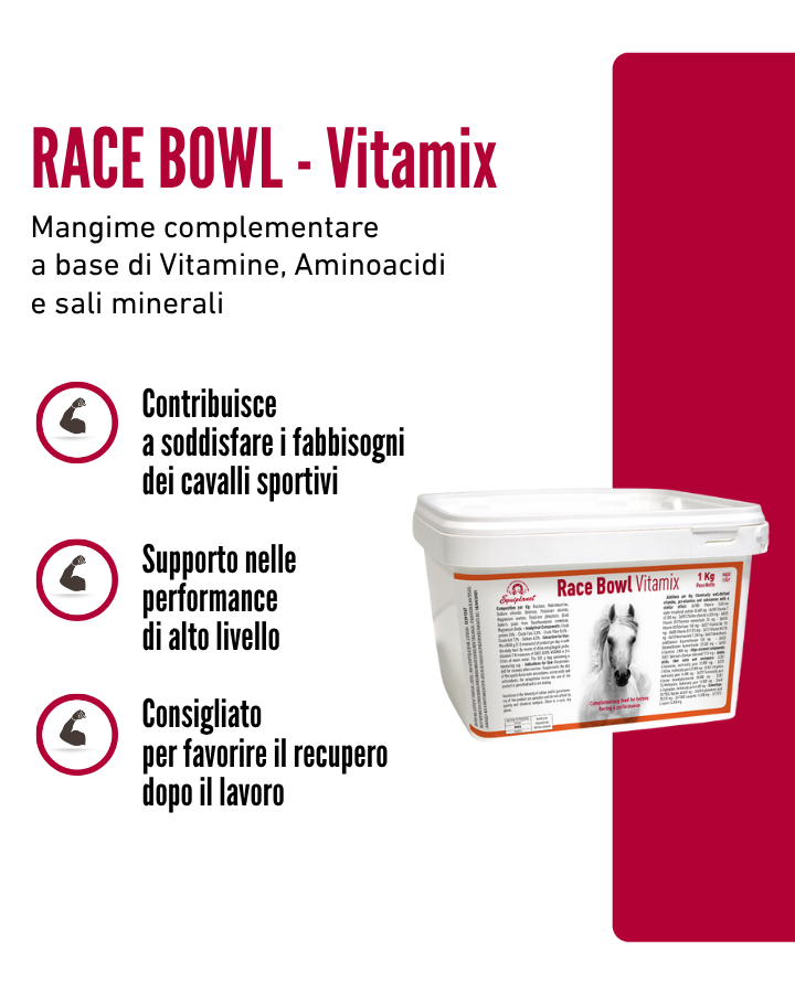 Race Bowl Vitamix