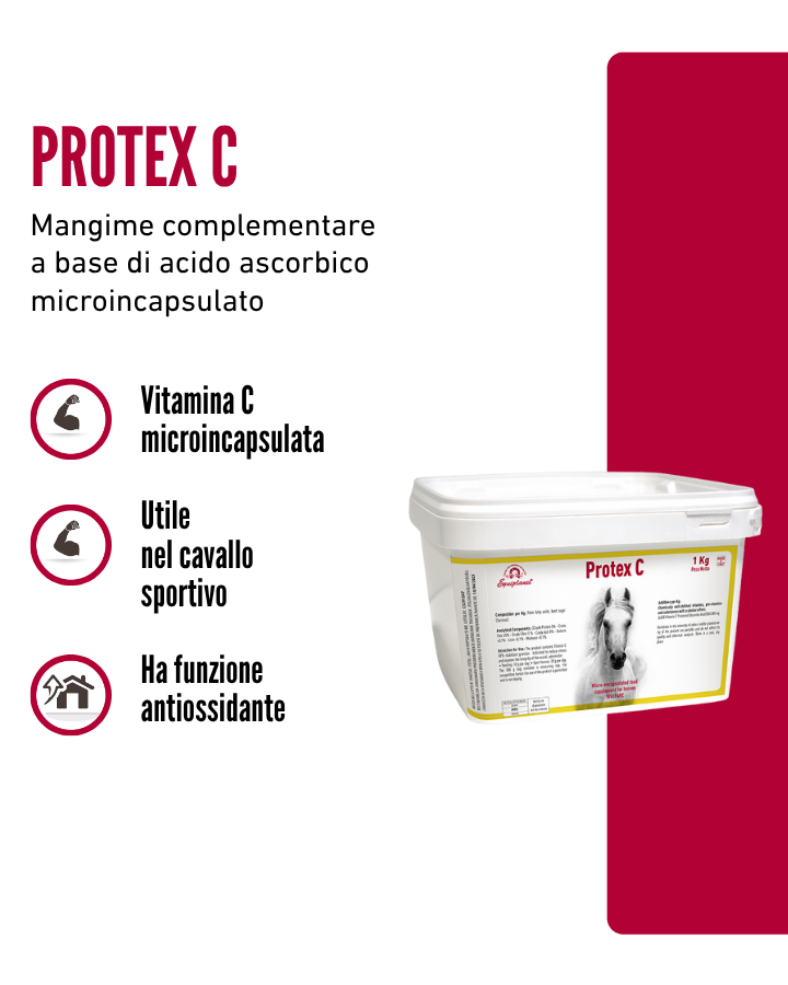 Protex C