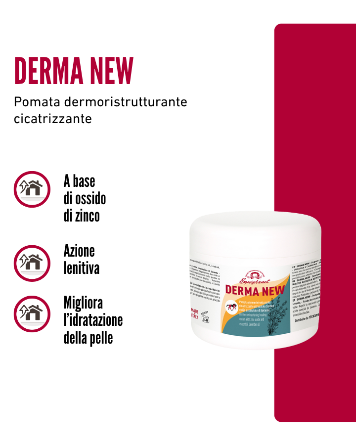 Derma New