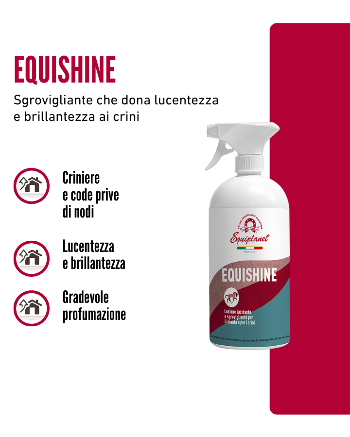 Equishine