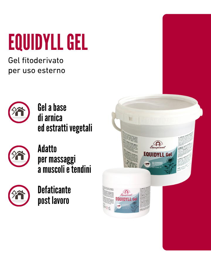 Equidyll Gel