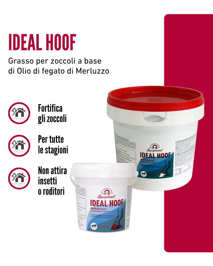 Ideal Hoof