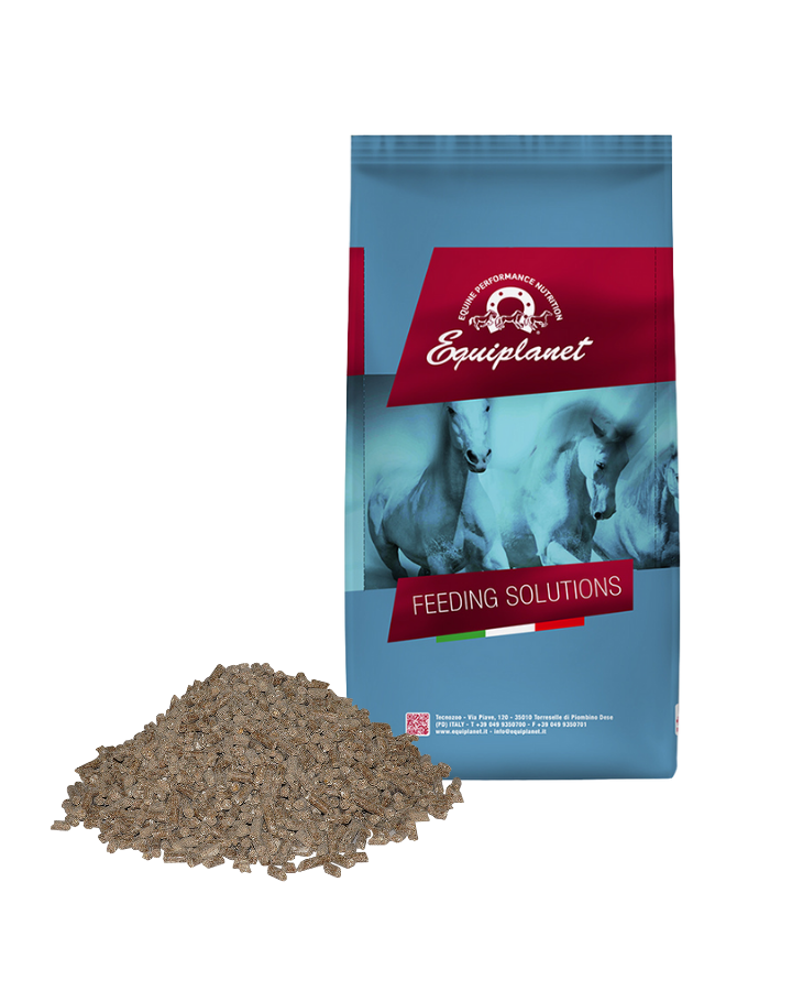 Aequisol Mangime complementare per cavalli 500g PHYTOFORMULAVET | RI.MOS. VET Aequisol Mangime complementare per cavalli 500g PHYTOFORMULAVET | RI.MOS. VET