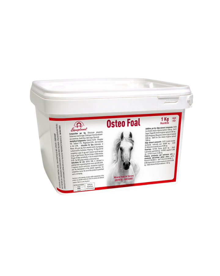 Osteo Foal