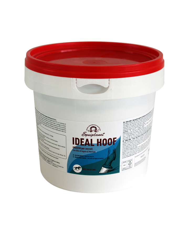 Ideal Hoof
