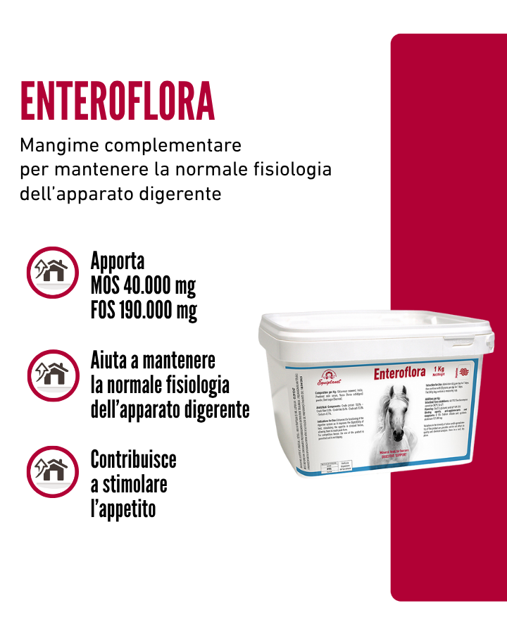 Enteroflora