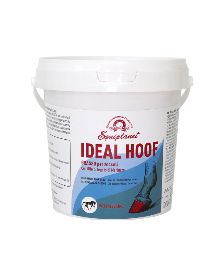 Ideal Hoof