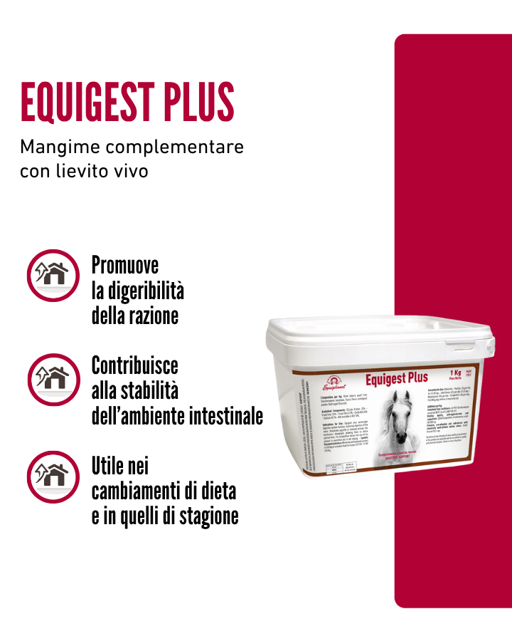 Equigest Plus