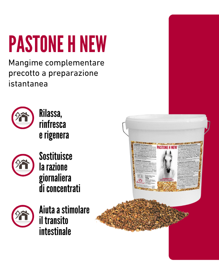 Pastone H New