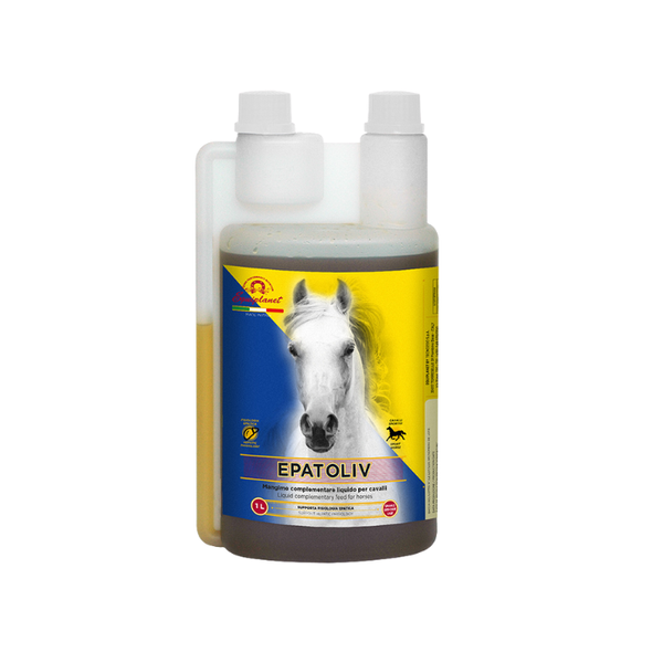 Vacche E Tori: Scopri I Migliori Mangimi Per Bovini | Giardini Mangimi - Foto 3