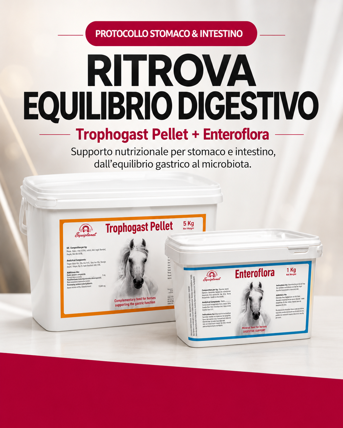 Protocollo Stomaco & Intestino