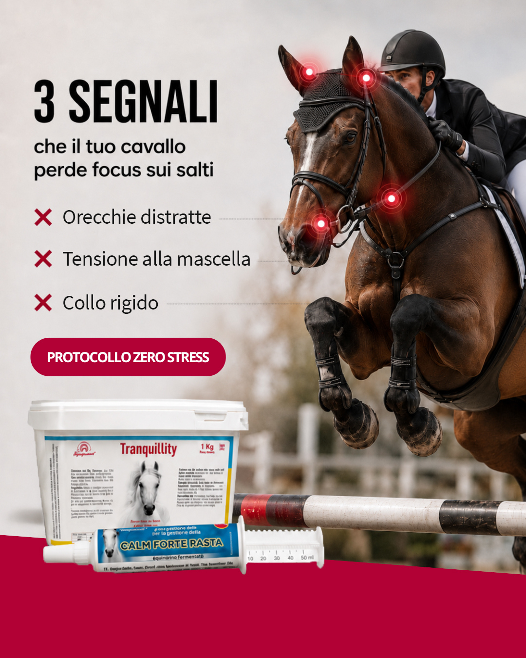 Protocollo Zero Stress